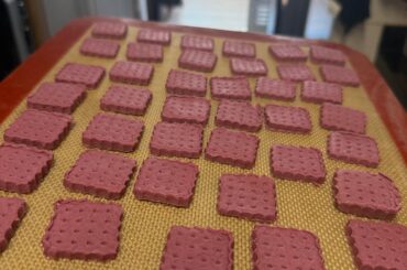 Do you guys bake for your bunnies?