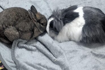 Final stage bonding