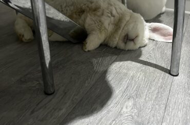 First flop since we lost granite