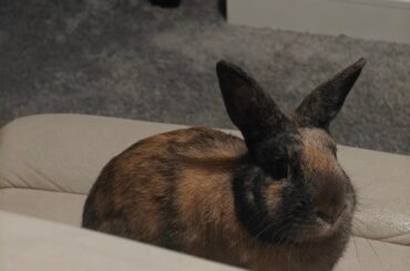 Is this seat taken ?