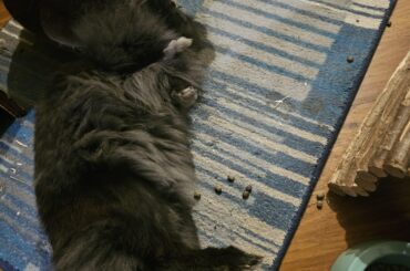 Absolute, feet in the air, relaxation, achieved