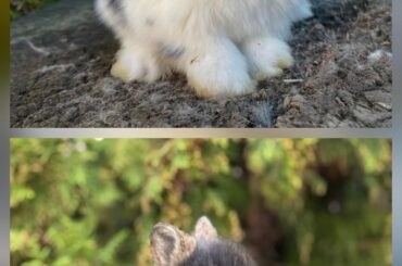 Looking for a name