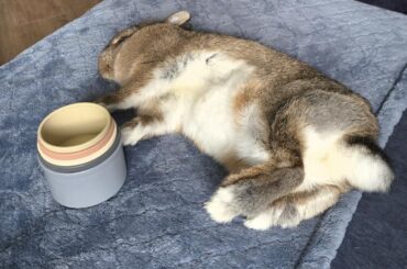 When you had a rough day at the office