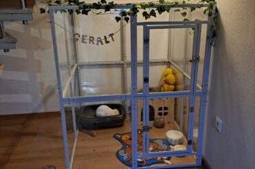 Opionions on Geralt enclosure