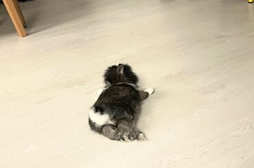 He's hanging out with us, but doesn't want to admit it.