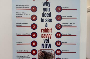 15 reasons