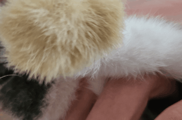 How can I clean this up?