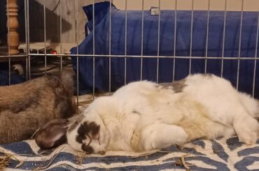 Clean bill of health and update