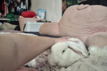 lonely and attention-seeking, or just loves me?