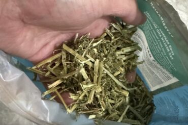 Oxbow vs “premium” alfalfa hay