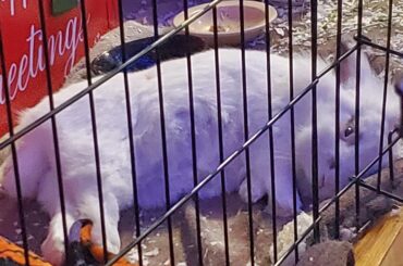 I'm obsessed with my happy boy