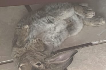 She is sweet, I didn't want to get any closer so as not to interrupt her