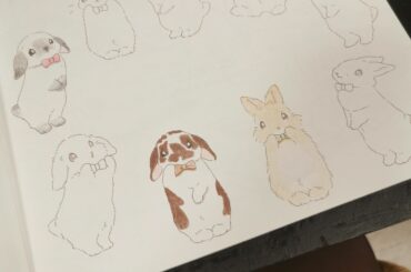 I want to color your bunny