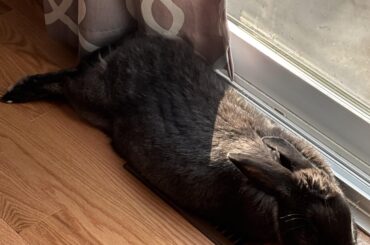 Double heat source in the winter