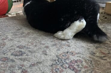 How is this comfortable😭