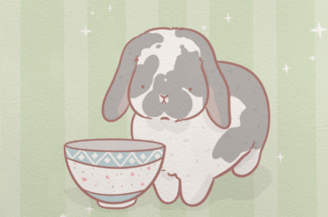 Look at these cuties I made for the bunnies in the community! 🐰