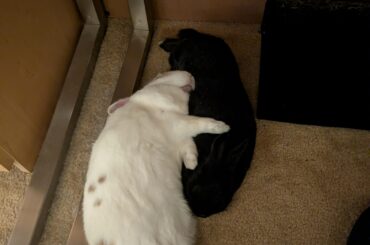 Oh, you're sleeping here? I'm sleeping here.