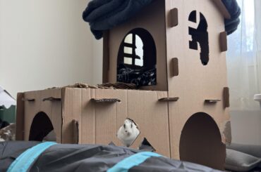 I always feel like... somebody is watching me