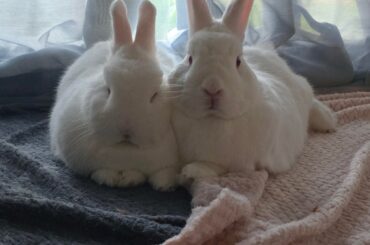 Some cute Front-facing pics❤️