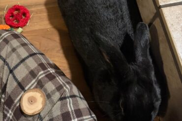 Hit a milestone for me