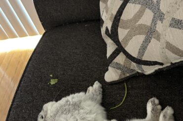 Naptime