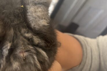 Is this a girl please