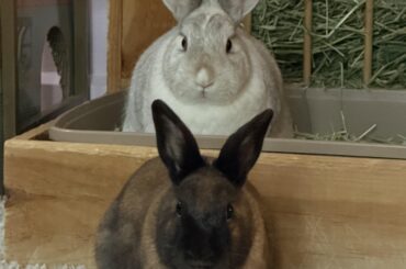 They know what you’ve done