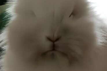 So much anger in such a little body