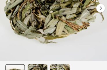 Effects of Willow Wreaths