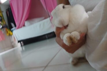 I was promoted from nanny to mother of this adorable princess