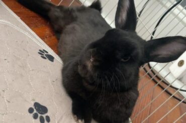 Trio bonding Help (2 Males and a Female)