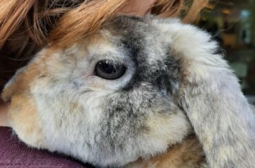 Lost my sweet baby boy last night