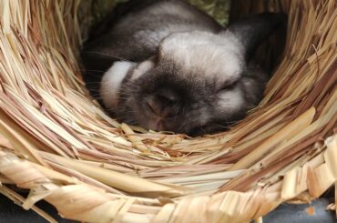 Nice hard crunchy tunnel nap 😆