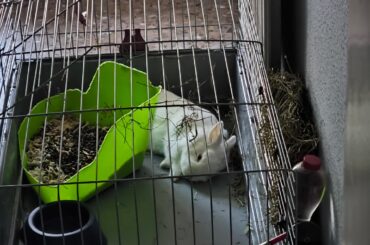 Transitioning from having an entire bedroom for him to an xpen