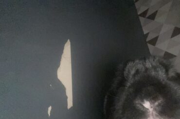 who ripped the wallpaper off?