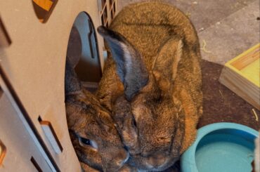 Goji and Moira finally bonded