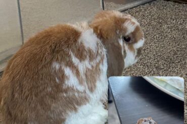 The criminal and his crime