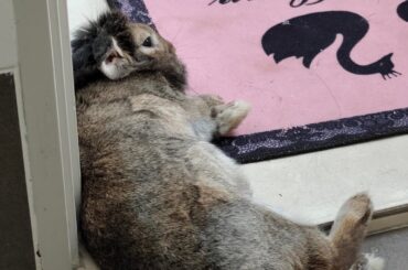 Old bun doesn't care about potential back pain