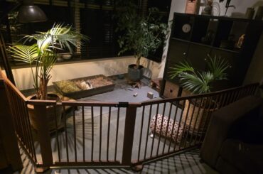 What do we think about my pen