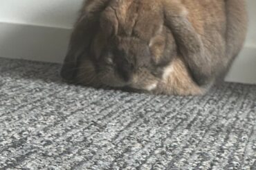 any reason why he sits different as of this year?