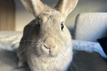 She’s turning 9 in April but doesn’t look a day over 5