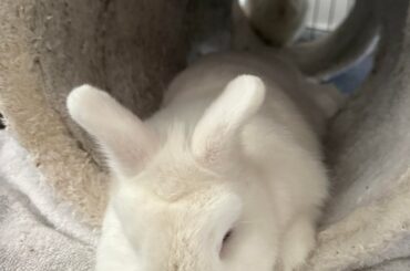 The Chances of Your Wife Ending You is Small…But Never Zero