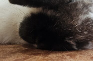 getting ready for bed😴