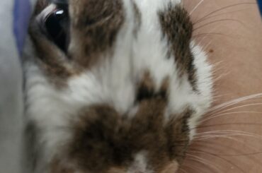 Hey there :>
