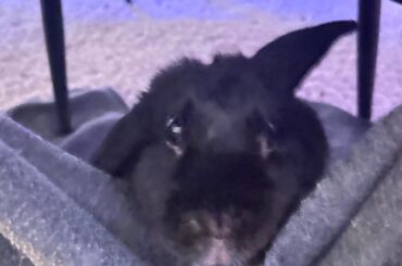 always excited to see me