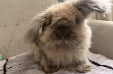 Disheveled, but make it cute