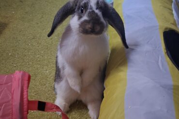 Snacks?