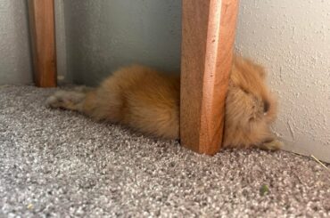 He yearns to be sandwiched