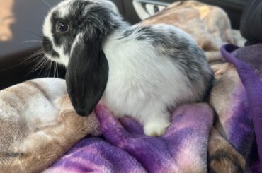 Need a name for this little guy