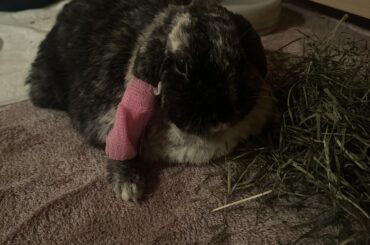 Post hospitalization advice